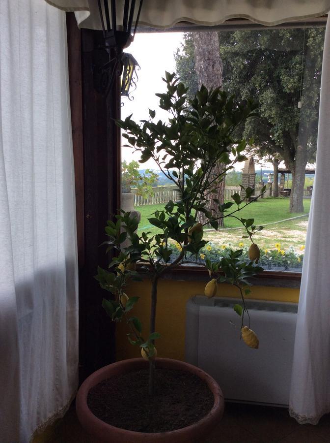 Borgo Della Molara Hotell Grottaferrata Exteriör bild